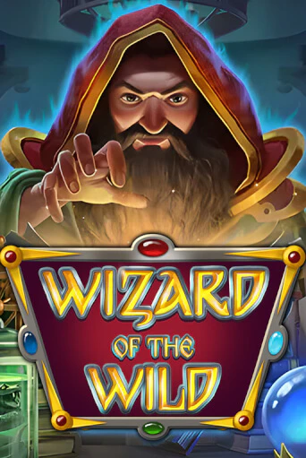 Демо игра Wizard of the Wild от  | Casino X BY